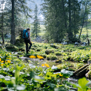 Romana Netzberger hiking